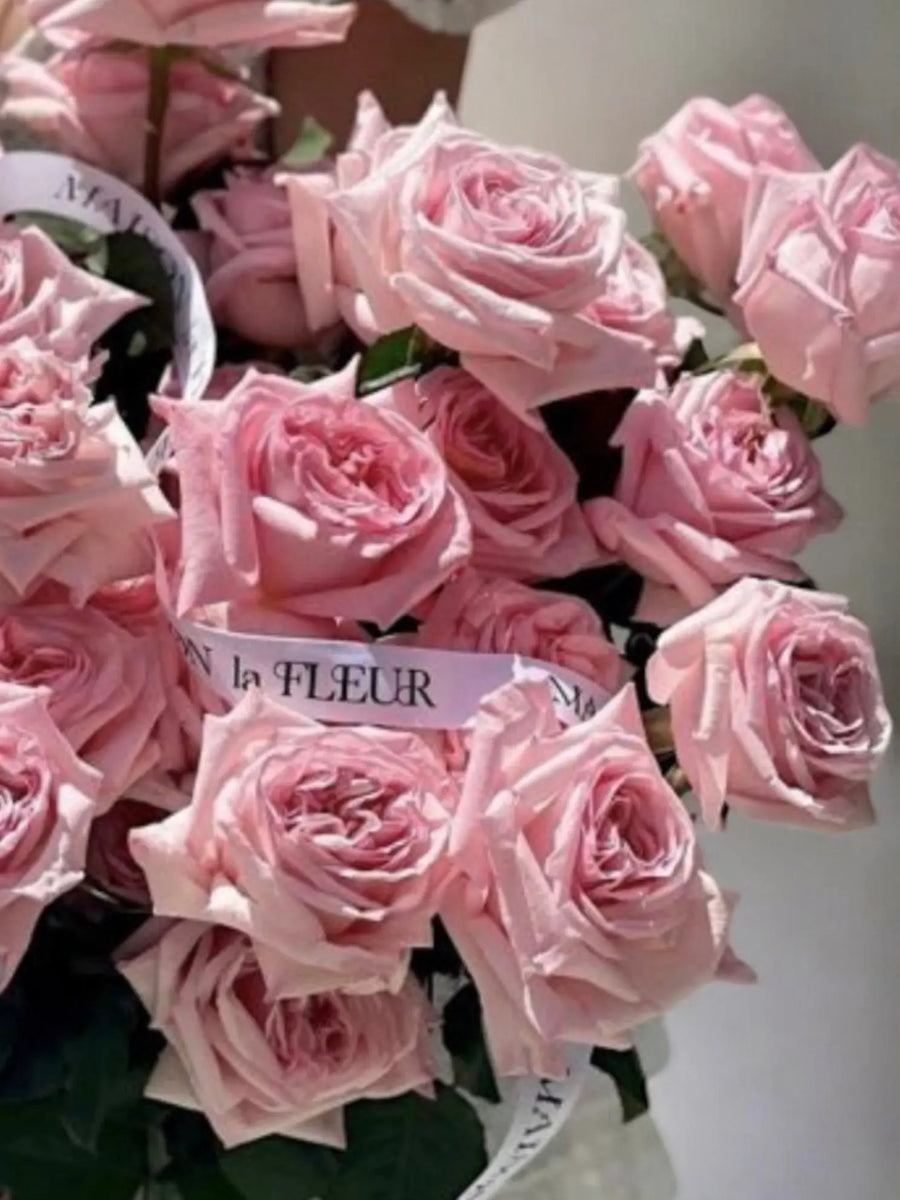 pink-ohara-2-dozen-premium-