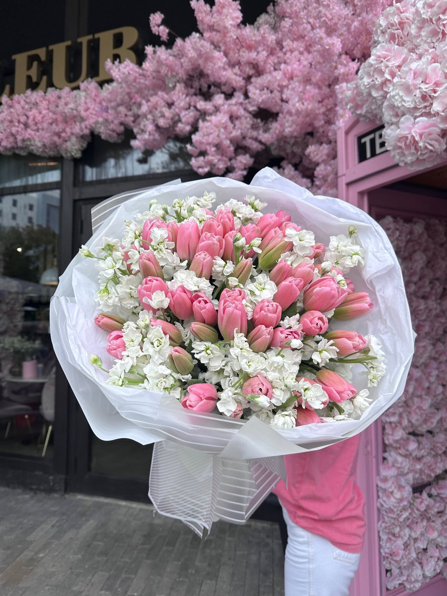 tulips-baby-50-dutch-tulips-
