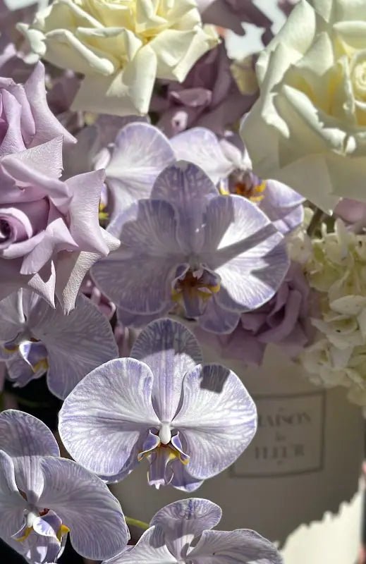 Beautiful Hydrangea Flower, Adore You! - premium orchidea phalaenopsis, premium long stem roses, and beautiful hydrangea - Maison la Fleur