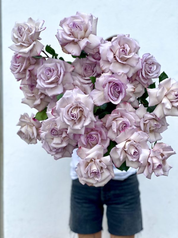 Higher Lover - most beautiful long stem delicate lilac roses - Maison la Fleur