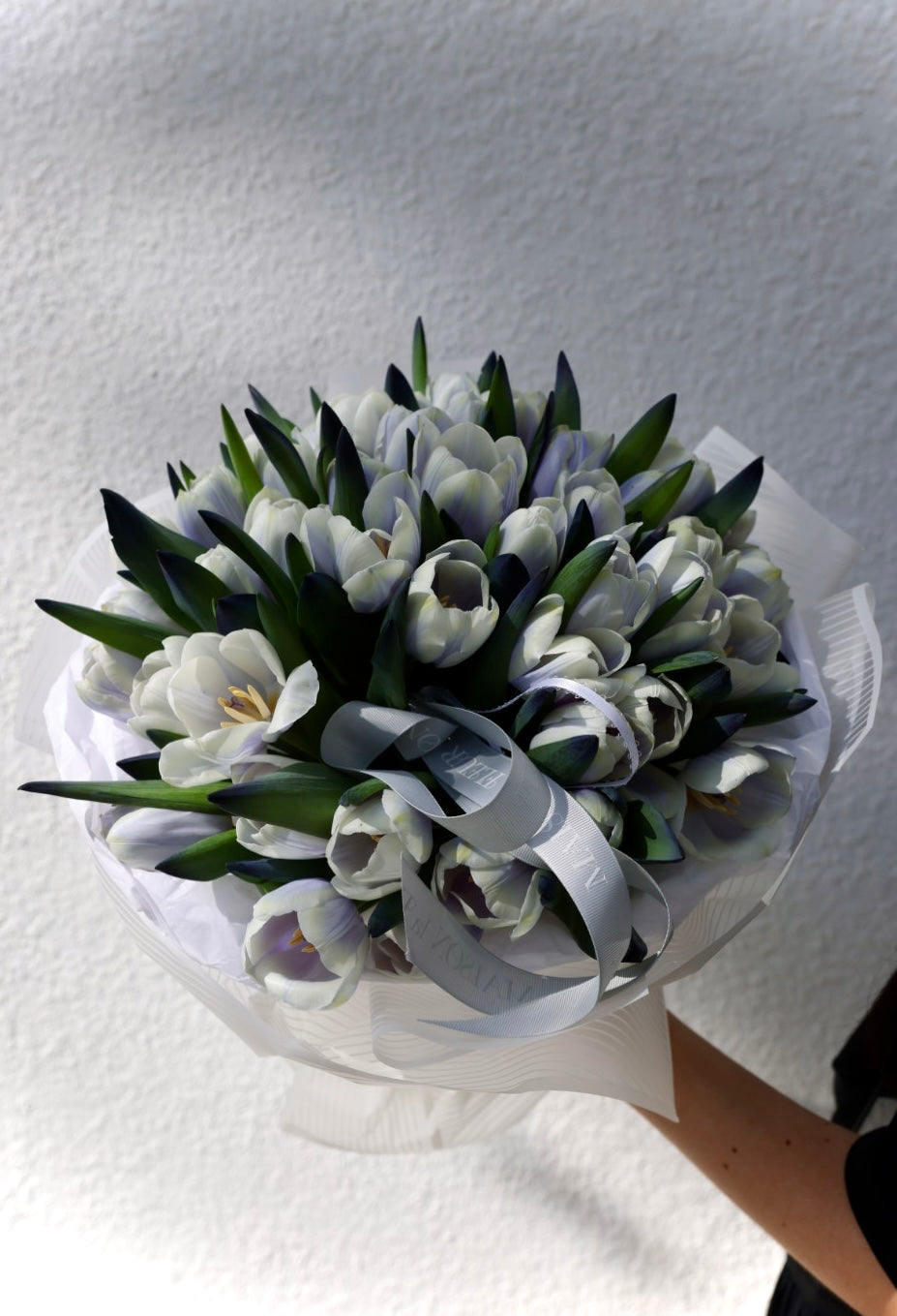 50 shades of grey - 50 Dutch color enhanced tulips