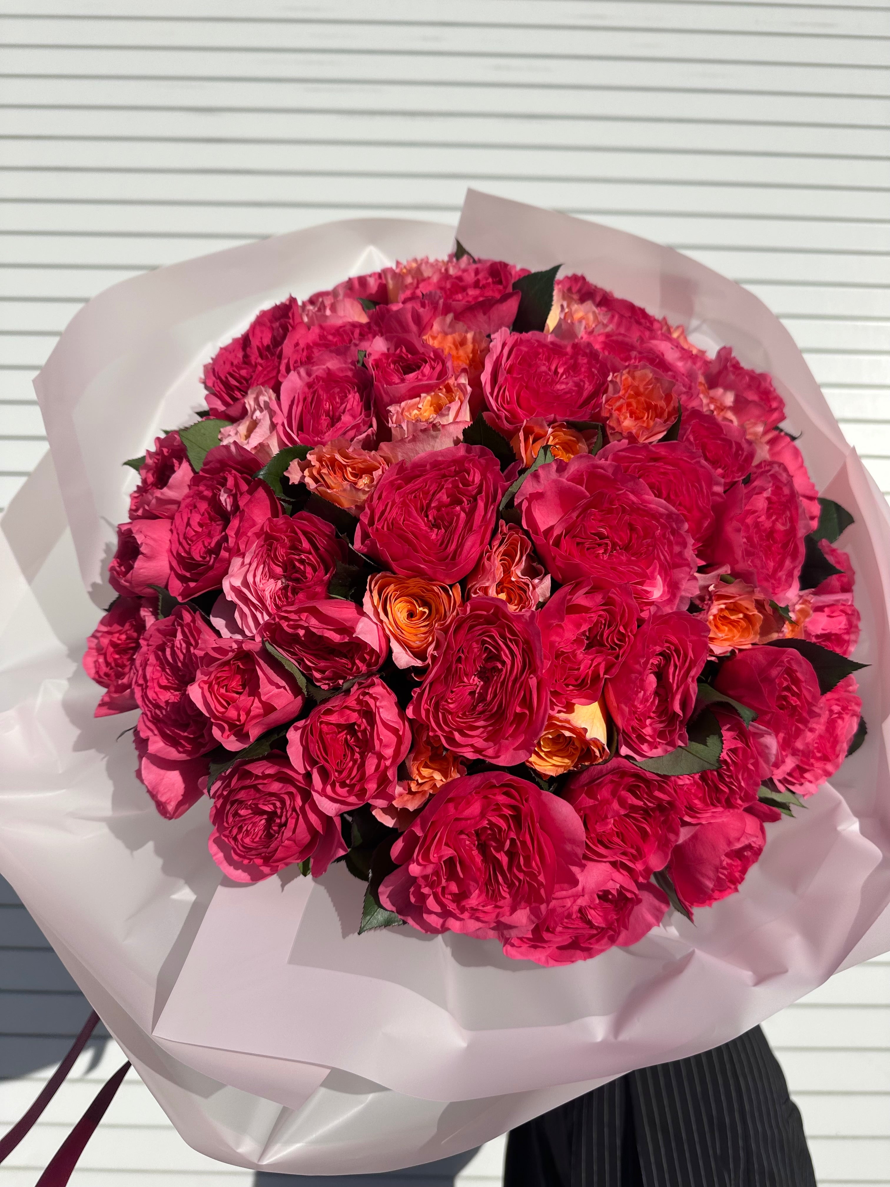 Betty Rose Kiss - 50 beautiful premium garden roses