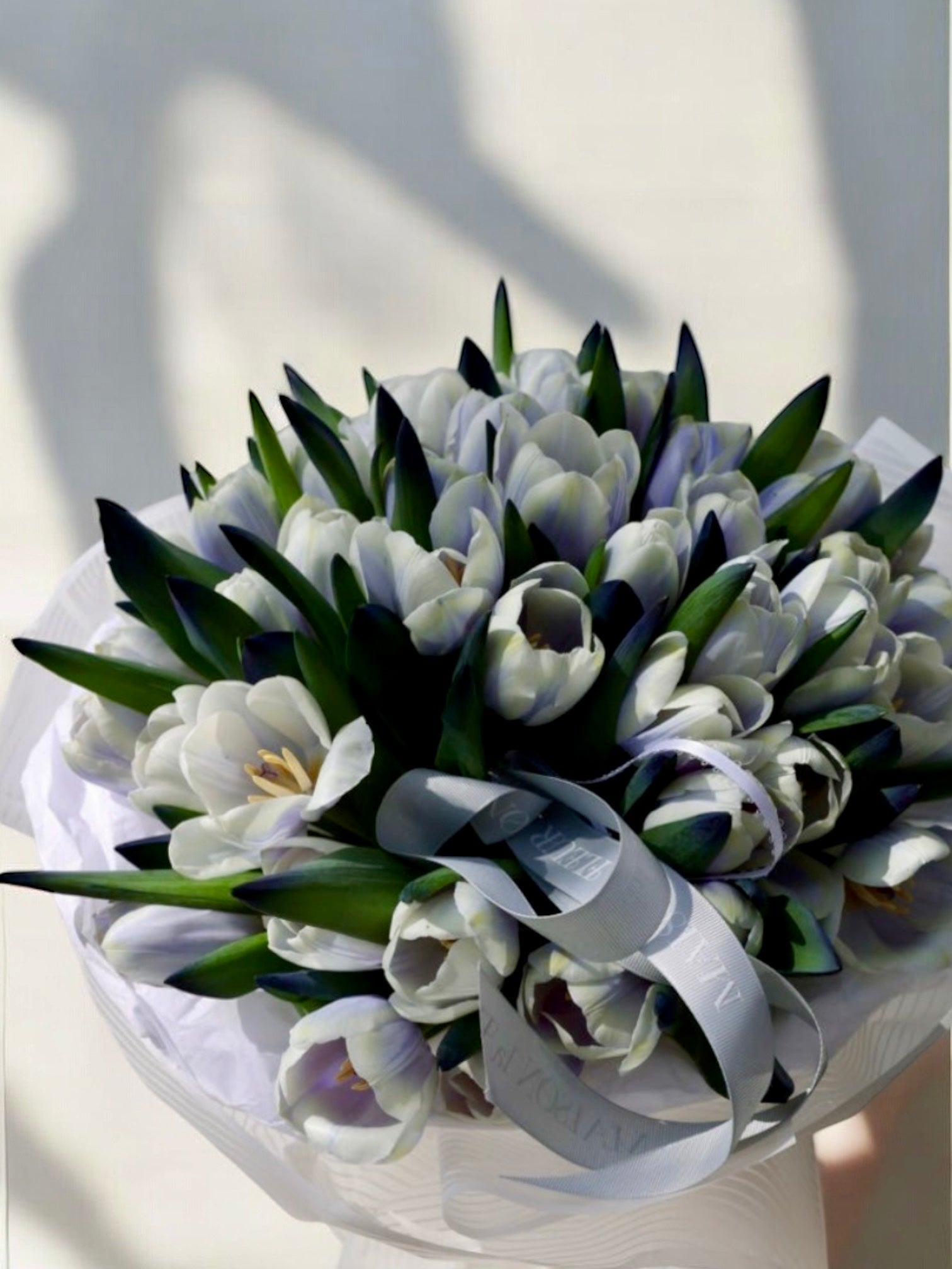 50 shades of grey - 50 Dutch color enhanced tulips - Maison la Fleur