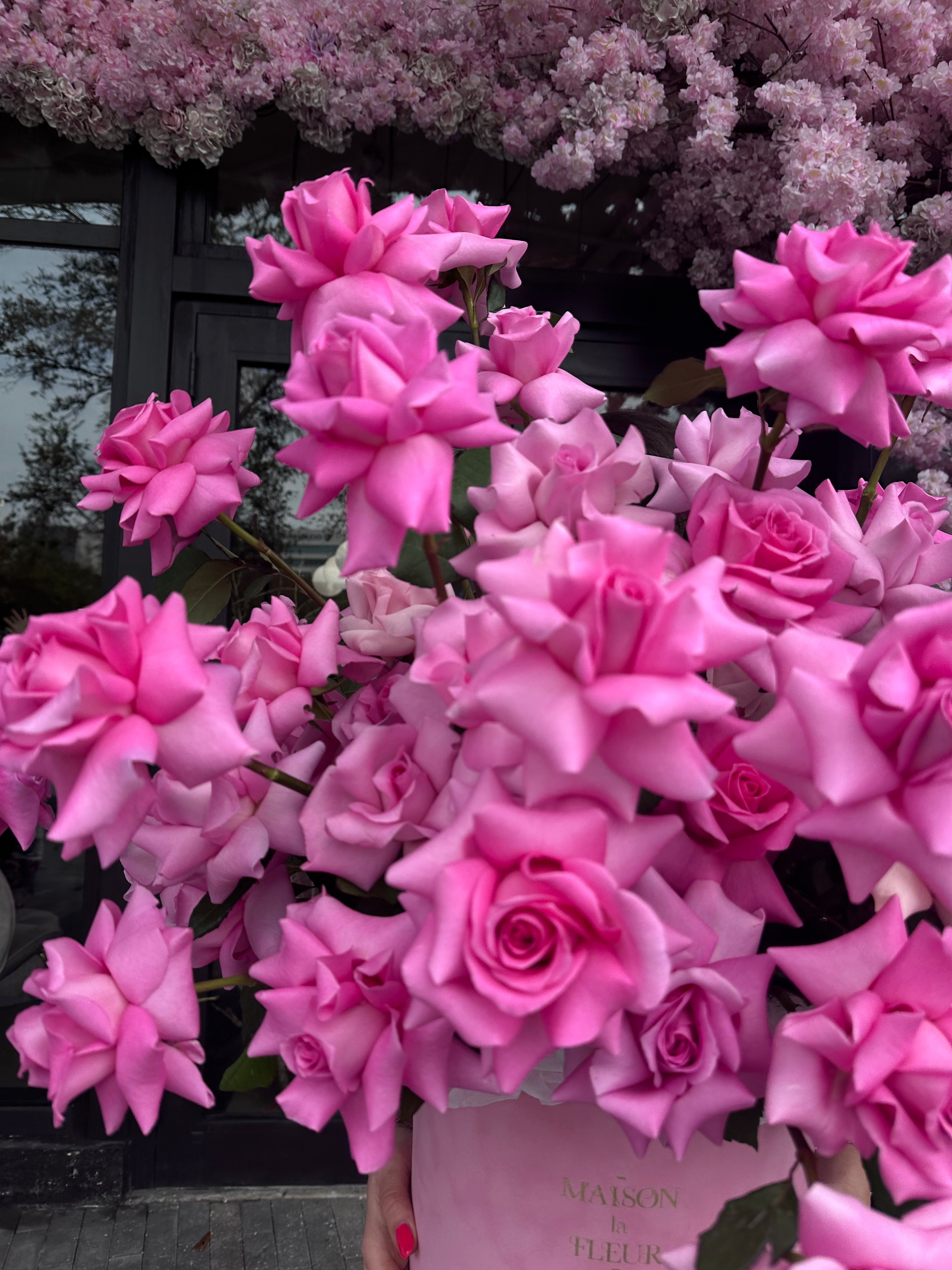 Pink Impression - Premium 50 long stem roses
