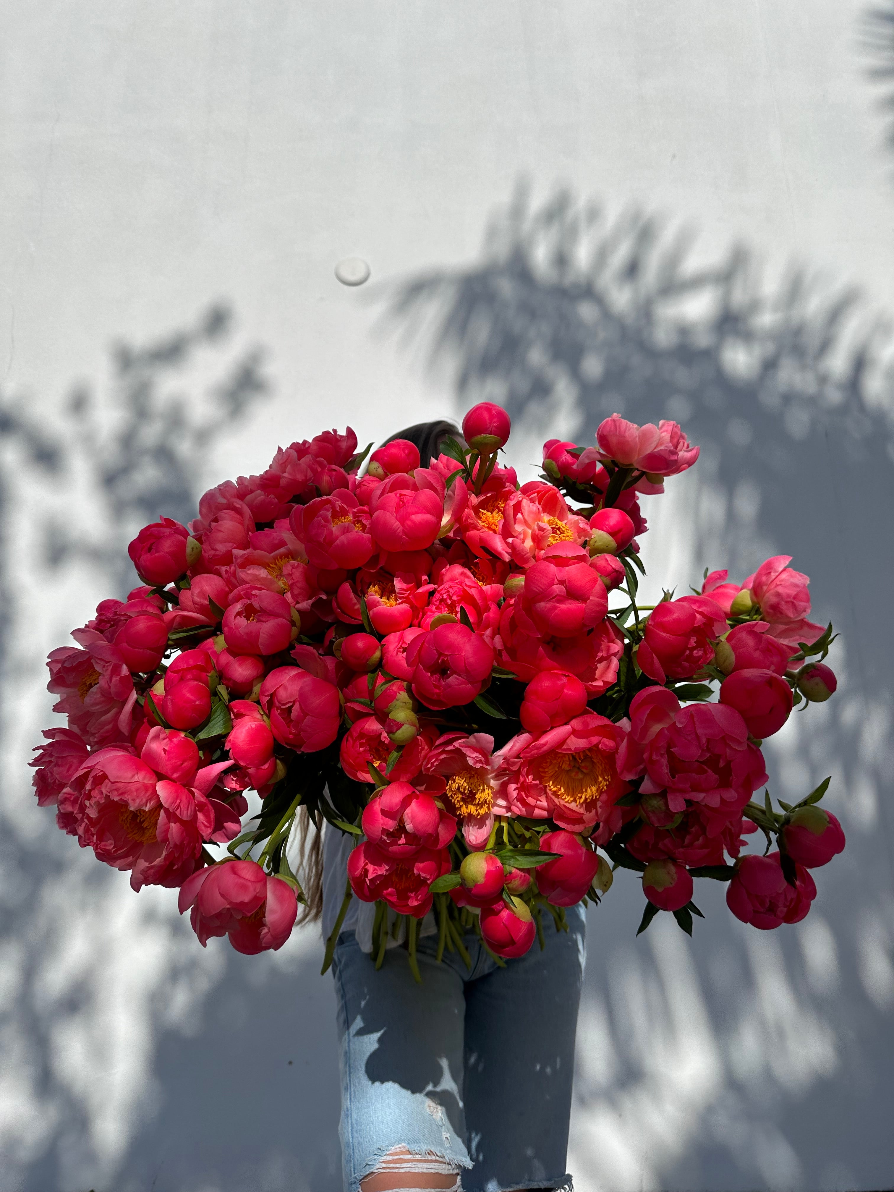 Coral is the new pink - 120 coral peonies