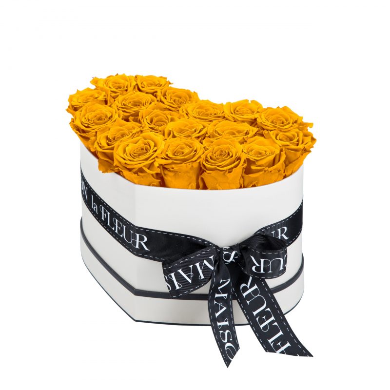 Amour collection - Premium preserved roses - Maison la Fleur