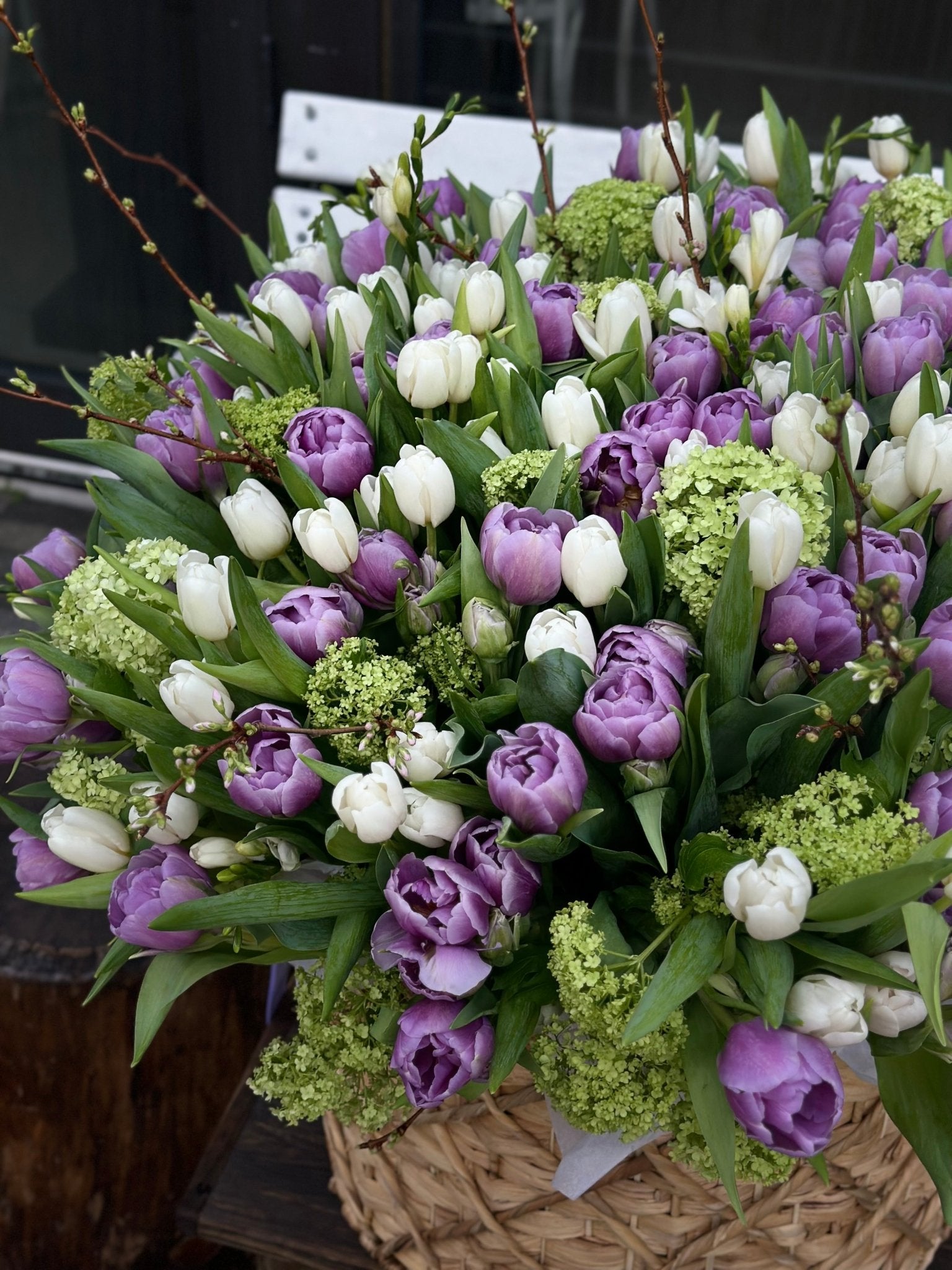 Bed of Tulips - Beautiful 200 Dutch tulips and Viburnum - Maison la Fleur