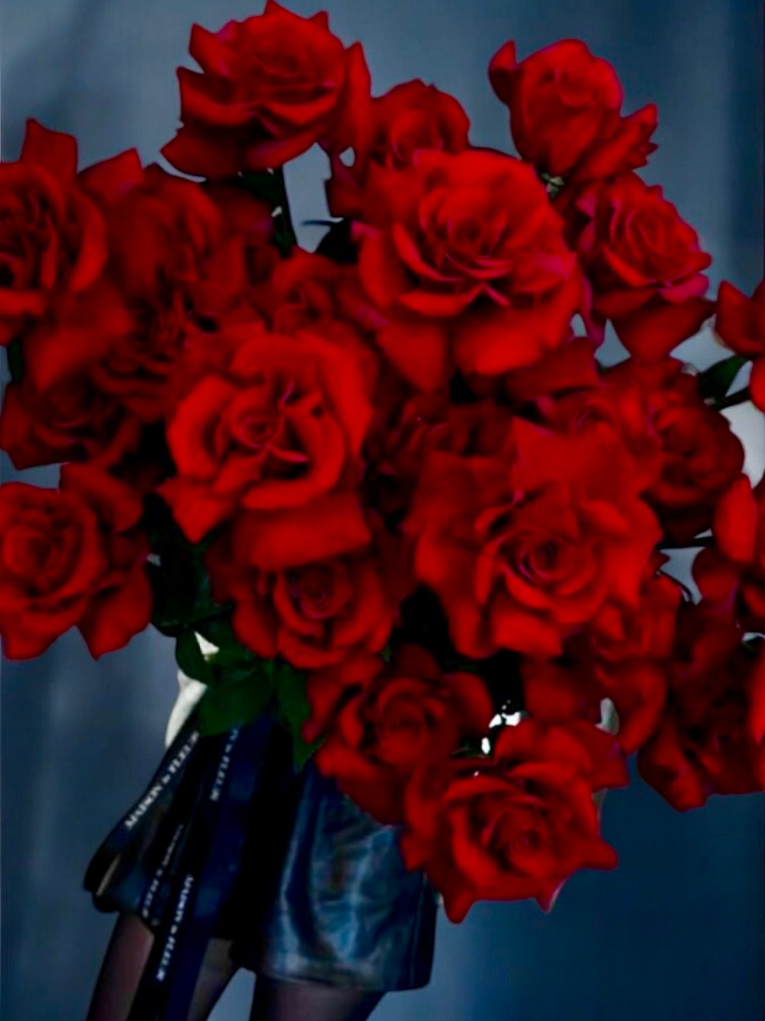 Better in Red - 2 dozen premium long stem roses - Maison la Fleur