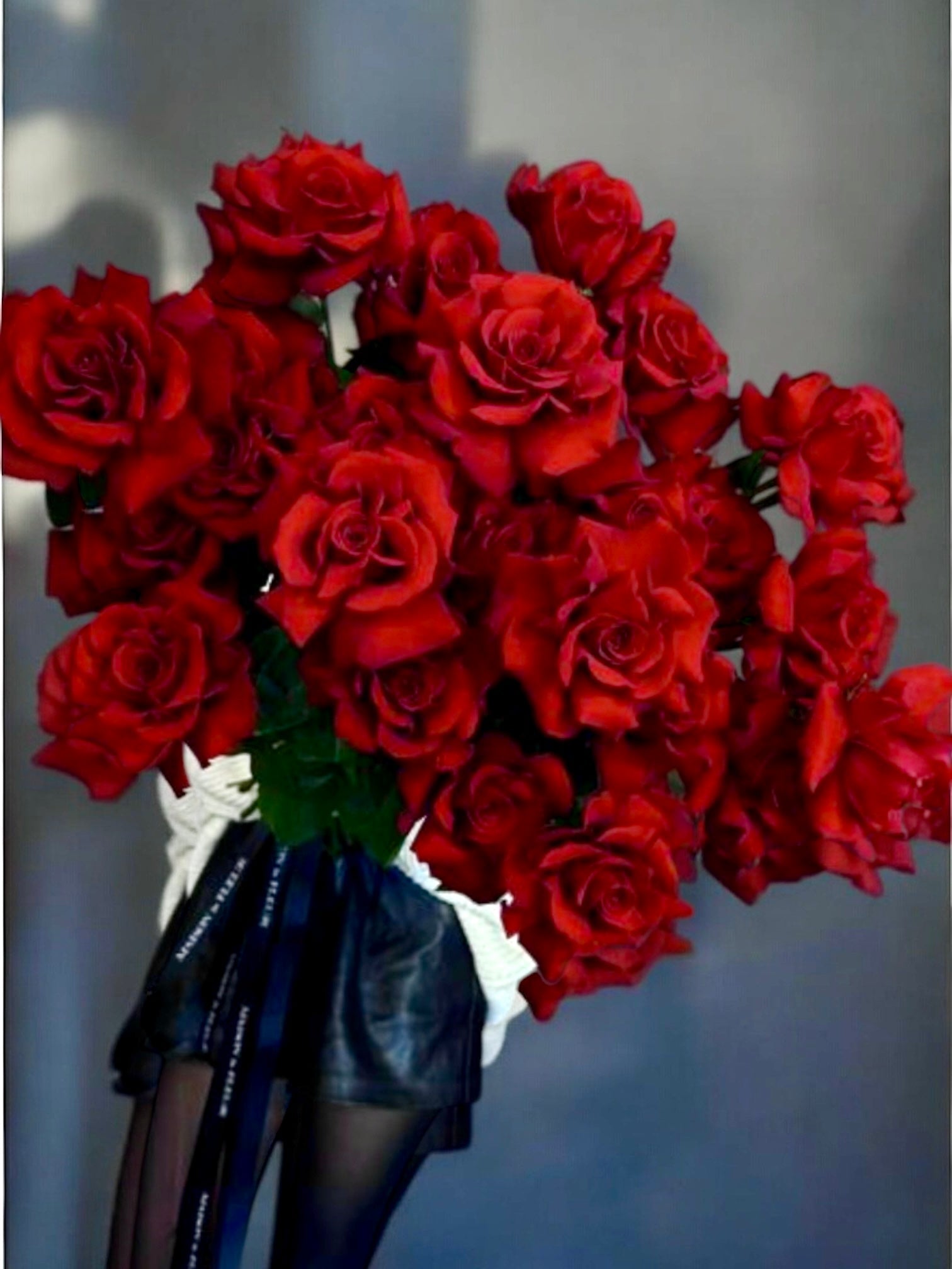 Better in Red - 2 dozen premium long stem roses - Maison la Fleur