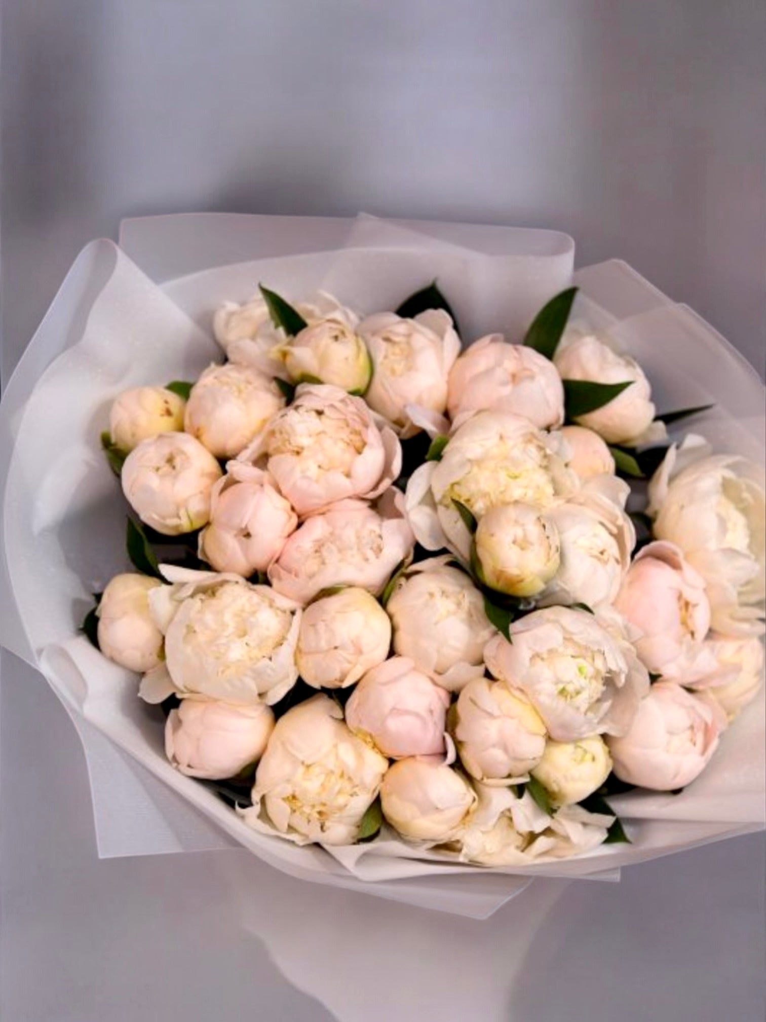 Blush Beauties - 30 white premium blush peonies - Maison la Fleur