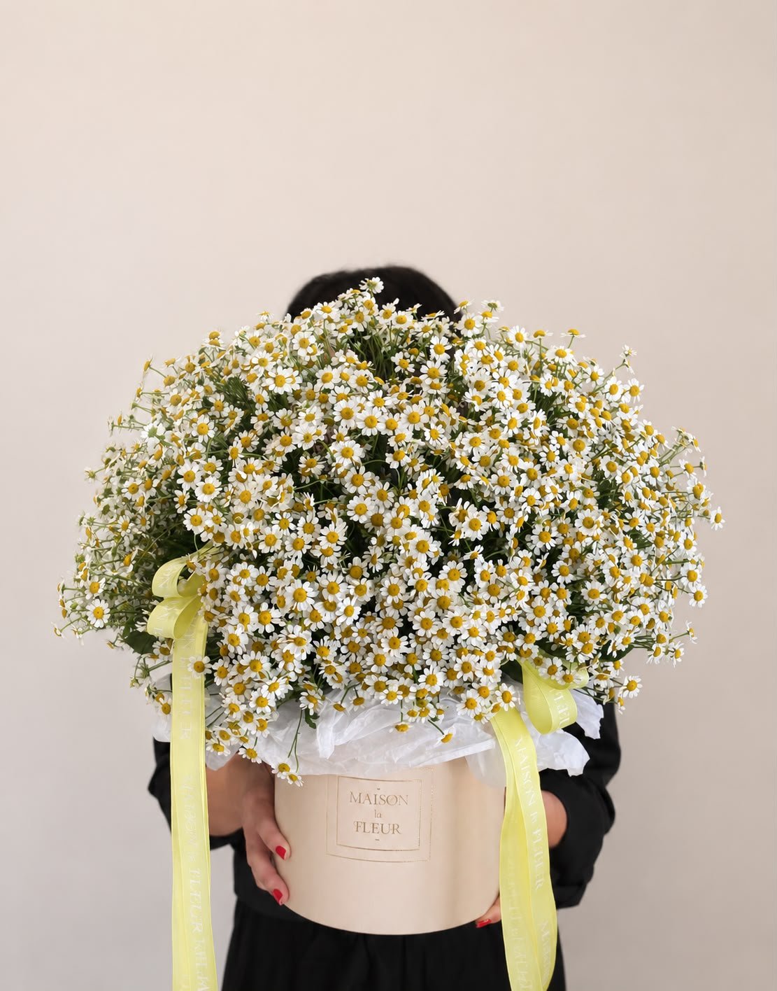 Box of Sunshine - Chamomile Flower | Maison la Fleur