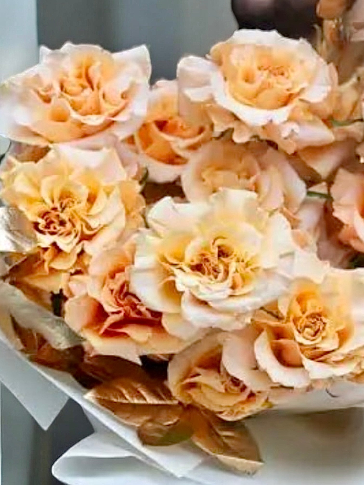 Caramel Love - 25 premium long stem roses - Maison la Fleur