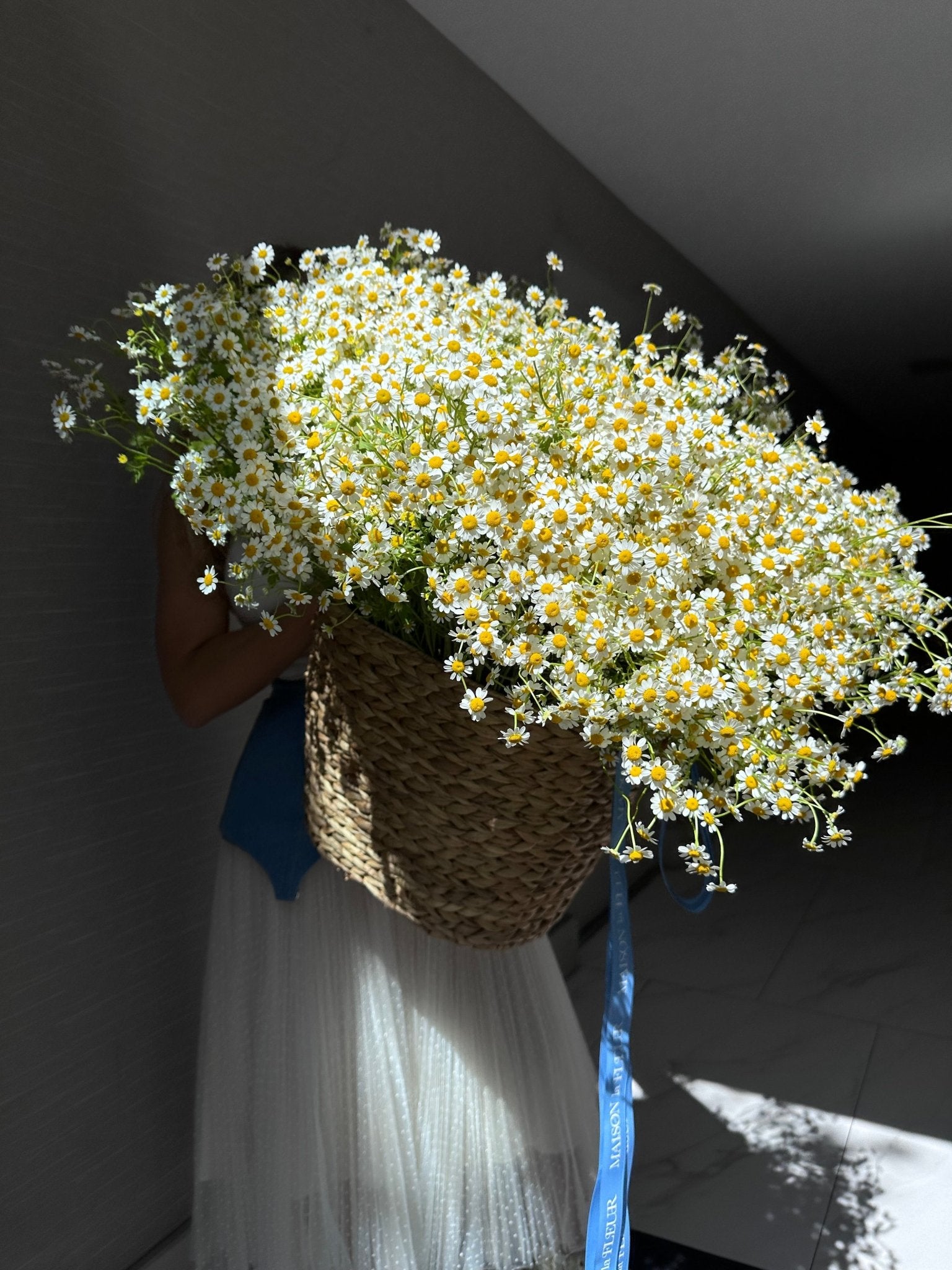 Chamomile Obsession - Chamomile flower - Maison la Fleur