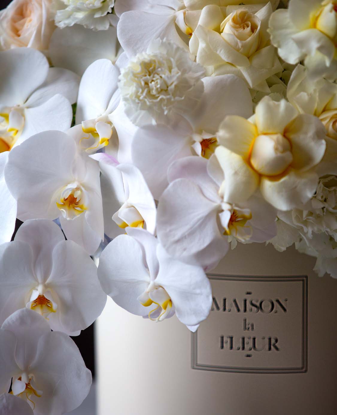 Charlotte’s Kiss - Premium long steam roses, garden roses and phalaenopsis - Maison la Fleur