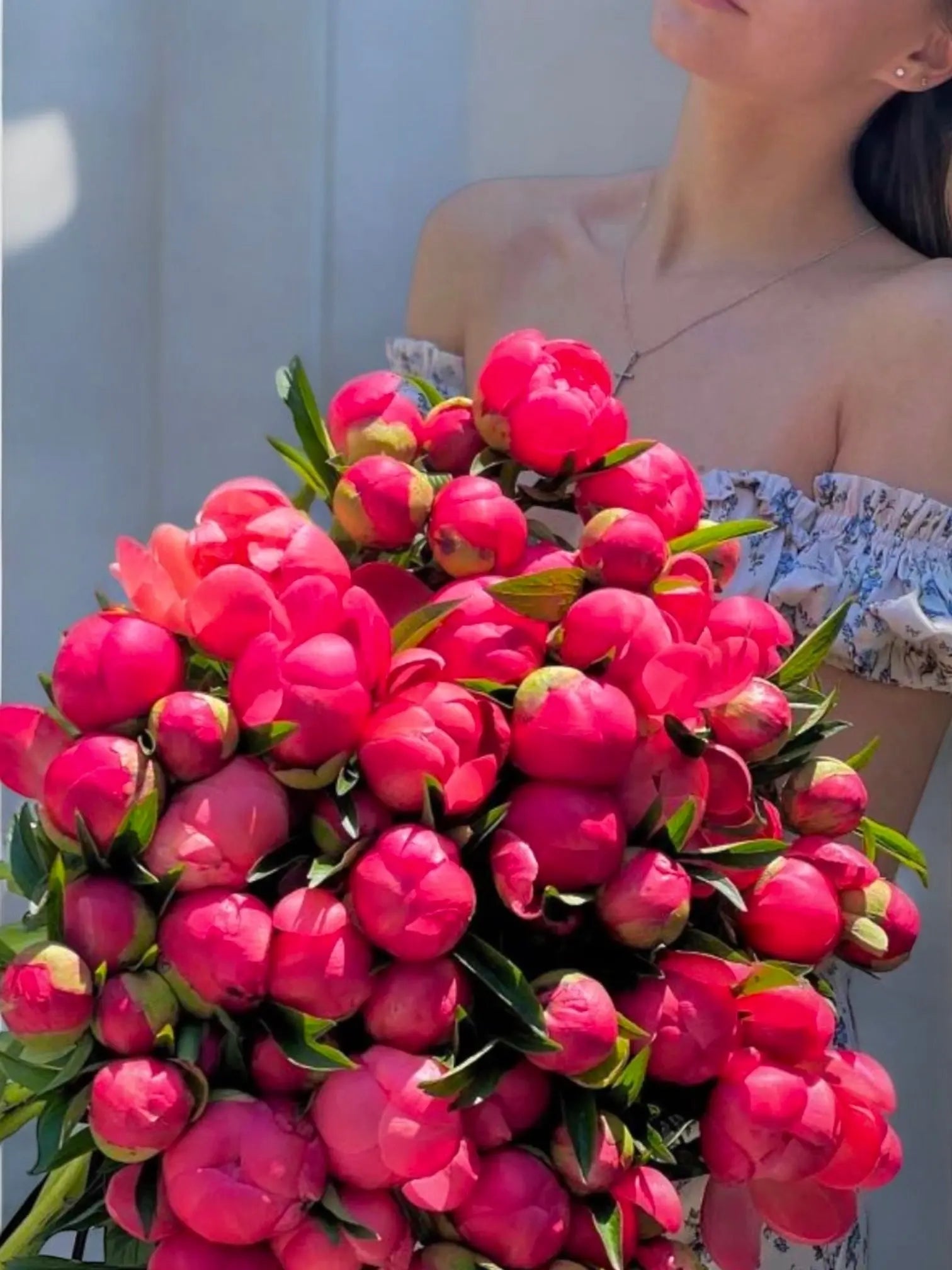 Coral Charm Peonies for Elegant Floral Arrangements