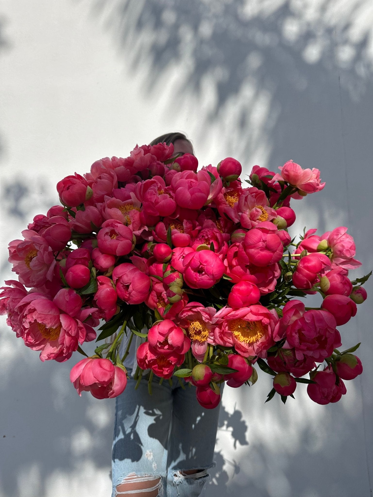 Coral is the new pink - 120 coral peonies - Maison la Fleur