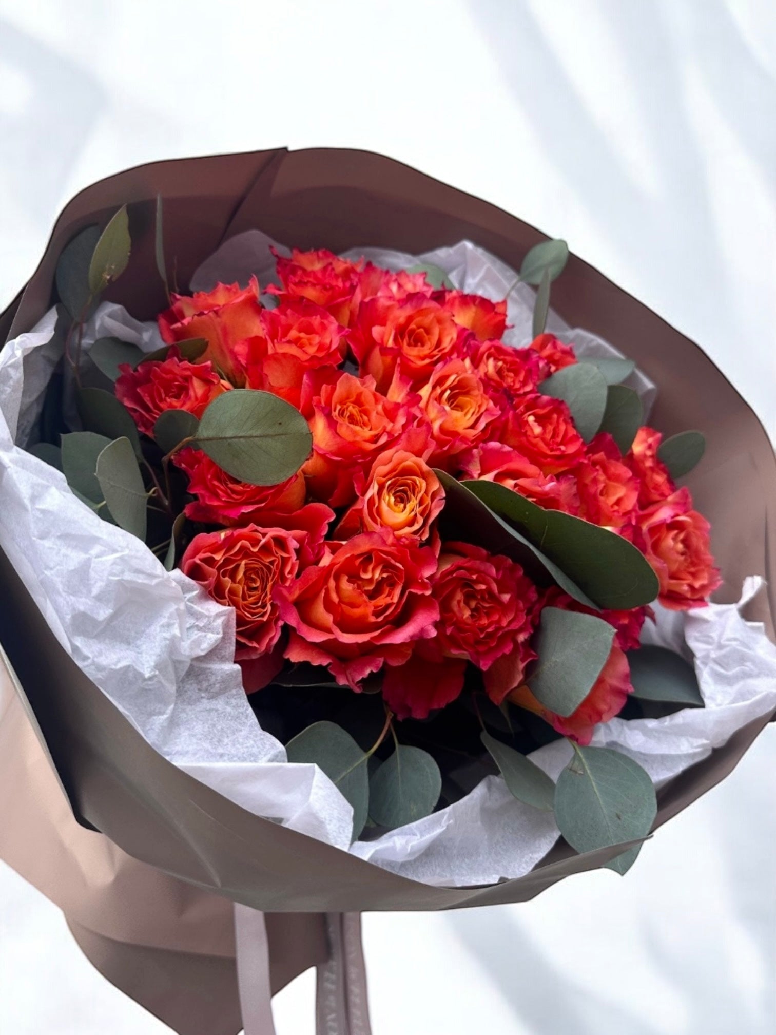 Dark Coral Expression - Two dozen beautiful premium garden roses - Maison la Fleur