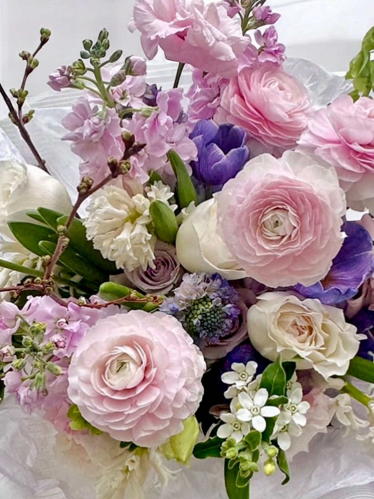 Enchantique Elegance - European hydrangea, &nbsp;Clooney Ranunculus,, Dutch color enhanced tulips from VIP, white Tweedia flower, lisianthus, hyacinths - Maison la Fleur