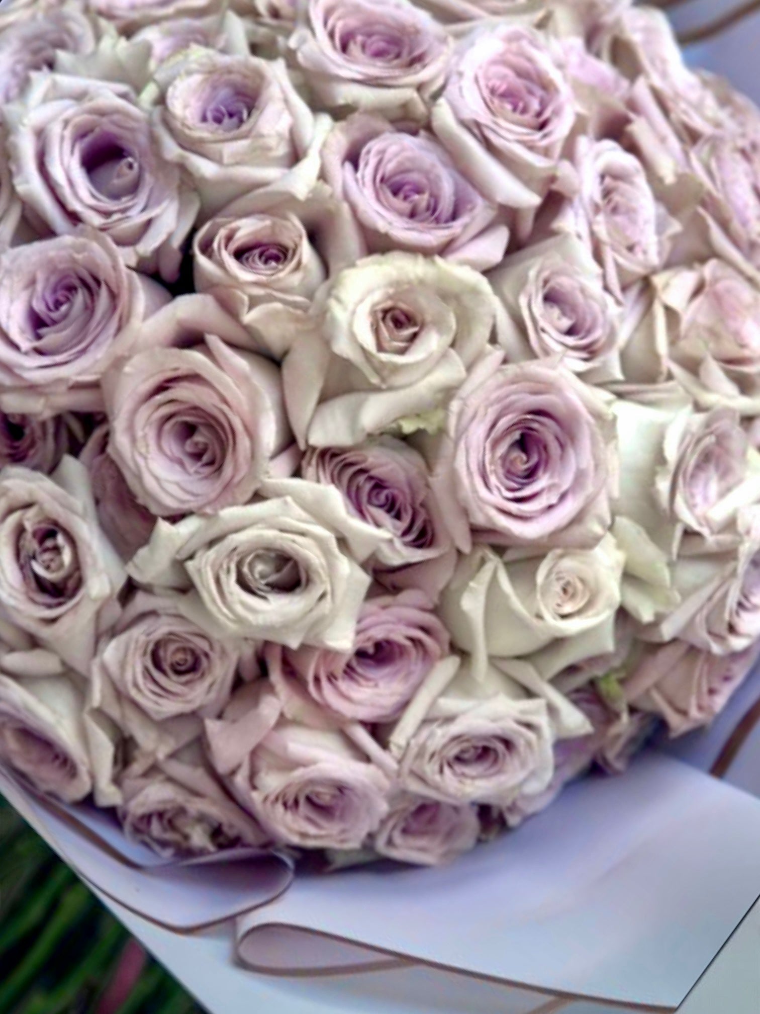 Gentle Angle - 50 Beautiful premium lilac roses - Maison la Fleur