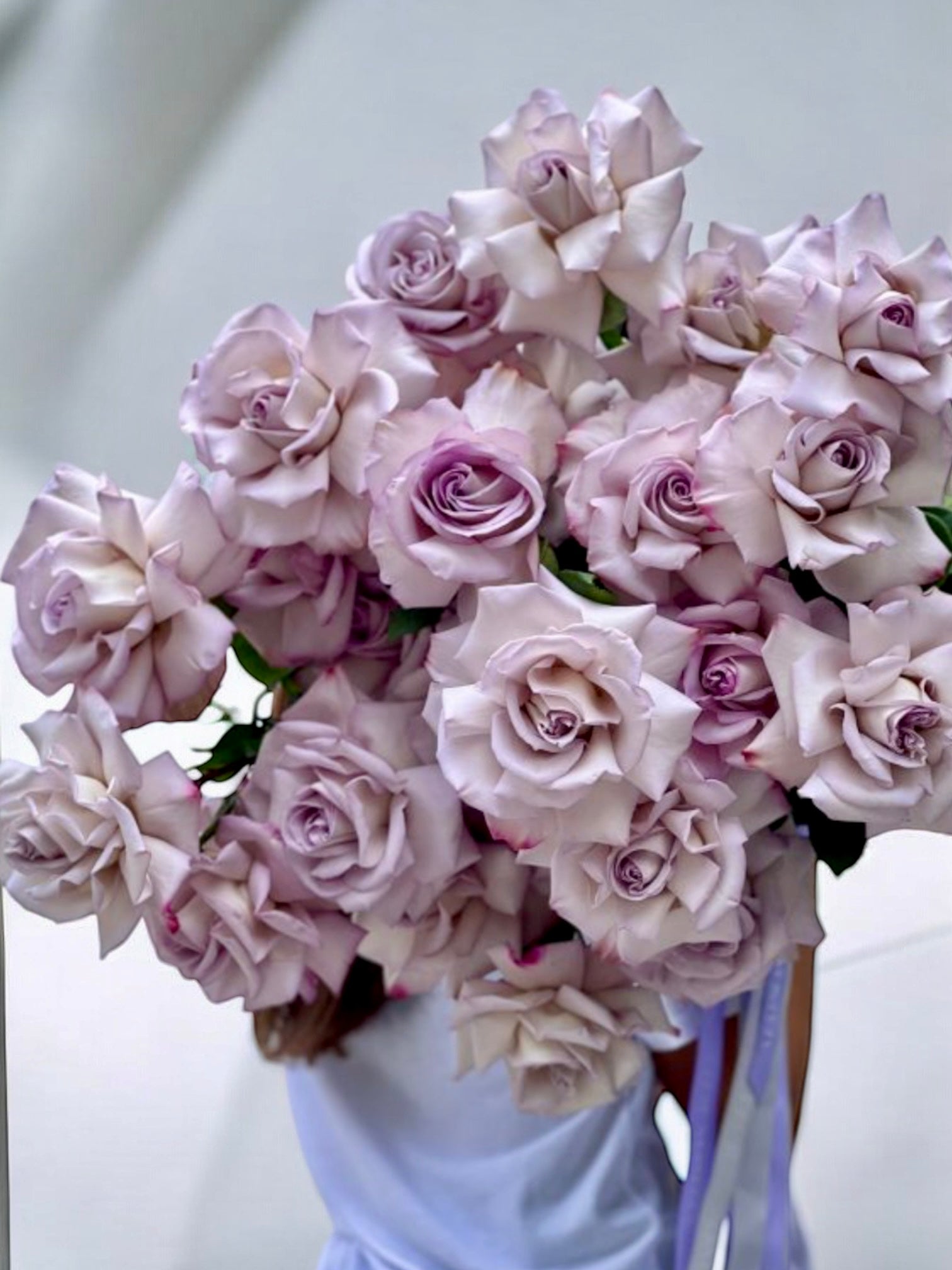 Higher Lover - most beautiful long stem delicate lilac roses - Maison la Fleur