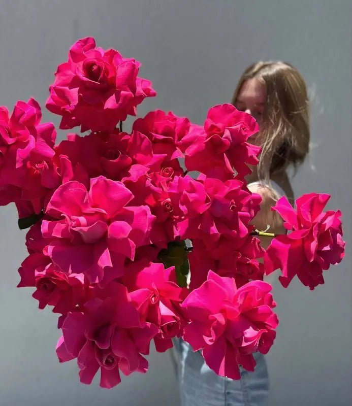 "Hot For You!" - 2 Dozen long stem hot pink premium roses - Maison la Fleur