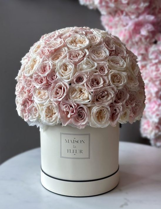 I'm Yours - beautiful mix of 150 premium roses and premium garden roses ...