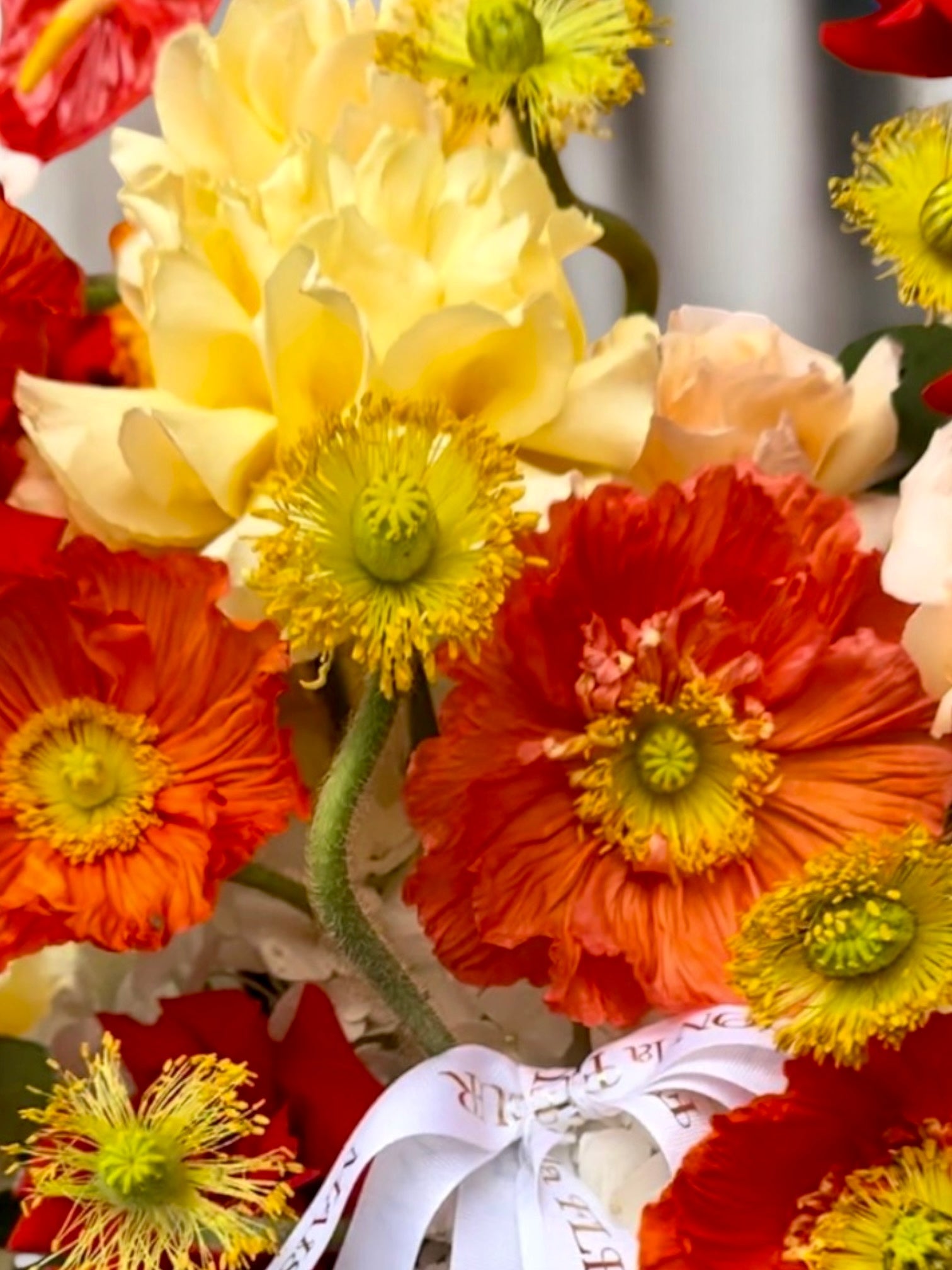 Lucky Rouge - Beautiful italian poppies, long stem roses, anthurium - Maison la Fleur