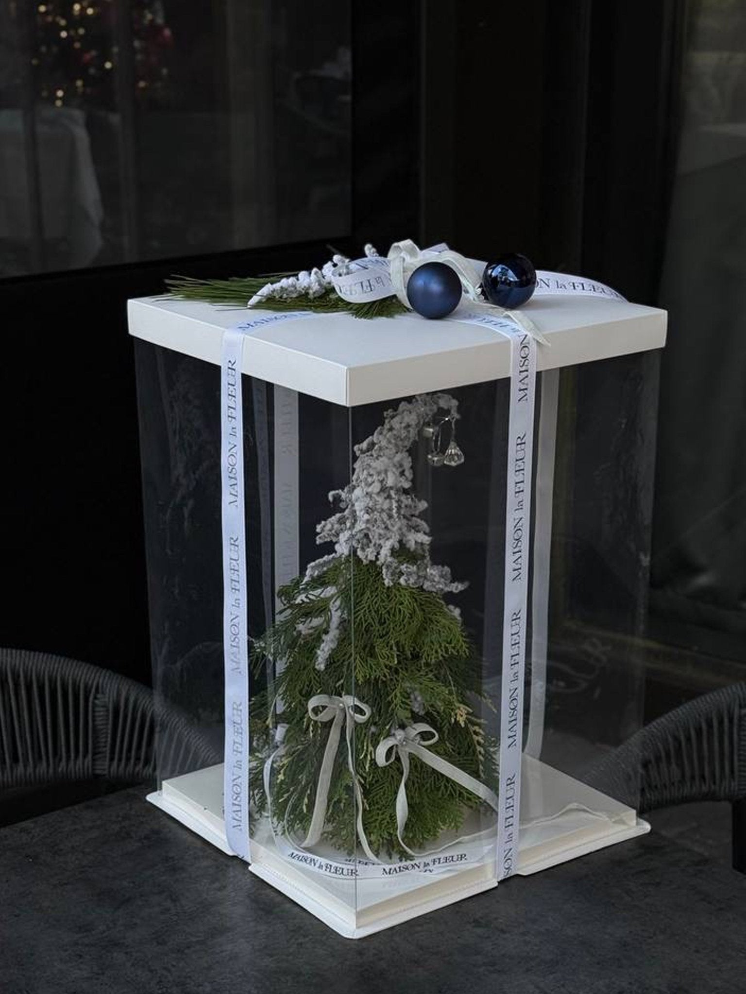 Mini Tree in a box - Maison la Fleur