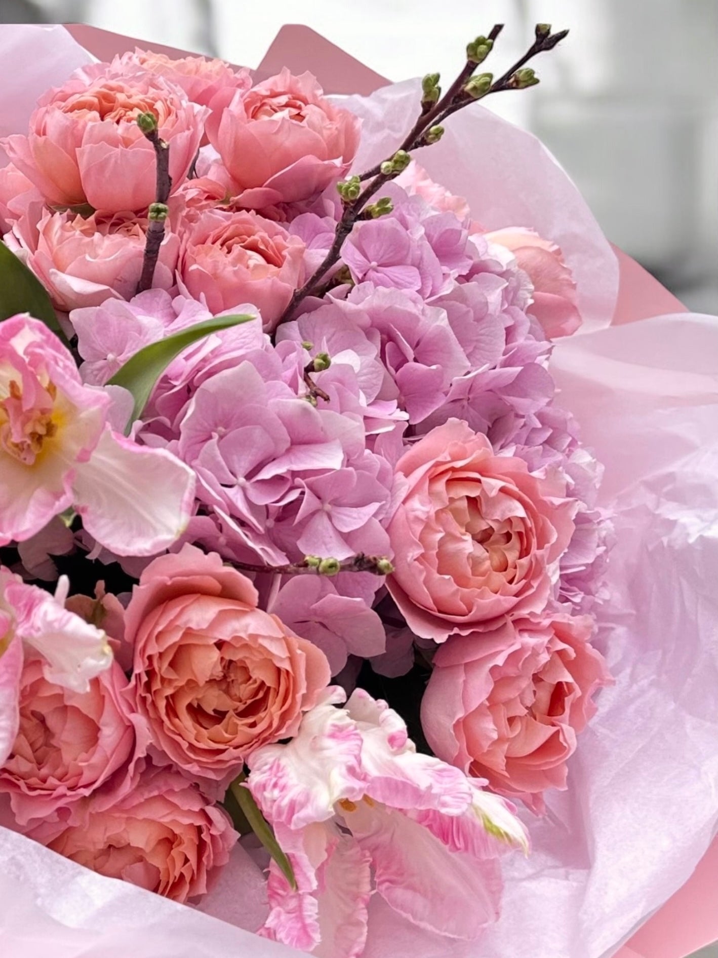 Moon Dance - Lux European hydrangea, spray garden roses, Dutch tulips, Sakura (seasonal) - Maison la Fleur