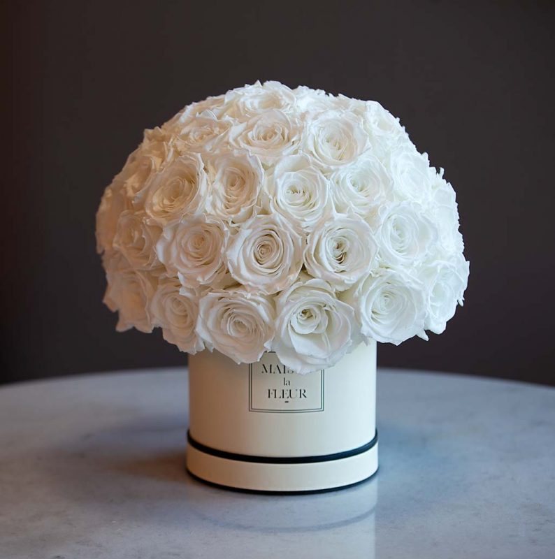 Mushroom Collection - Premium preserved roses - Maison la Fleur