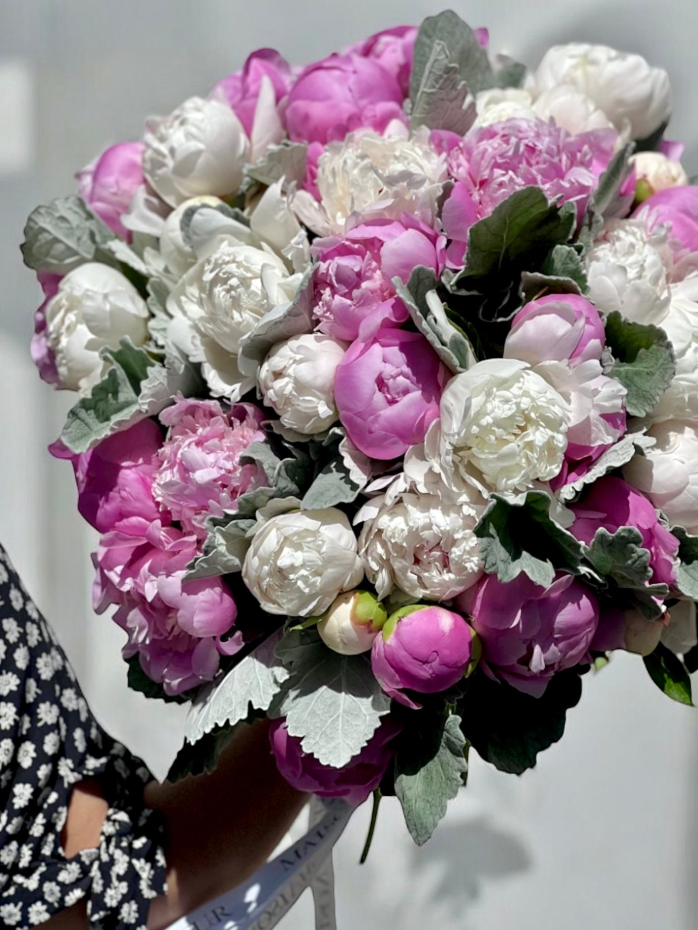 Obsession - 50 premium French peonies and dusty miller - Maison la Fleur