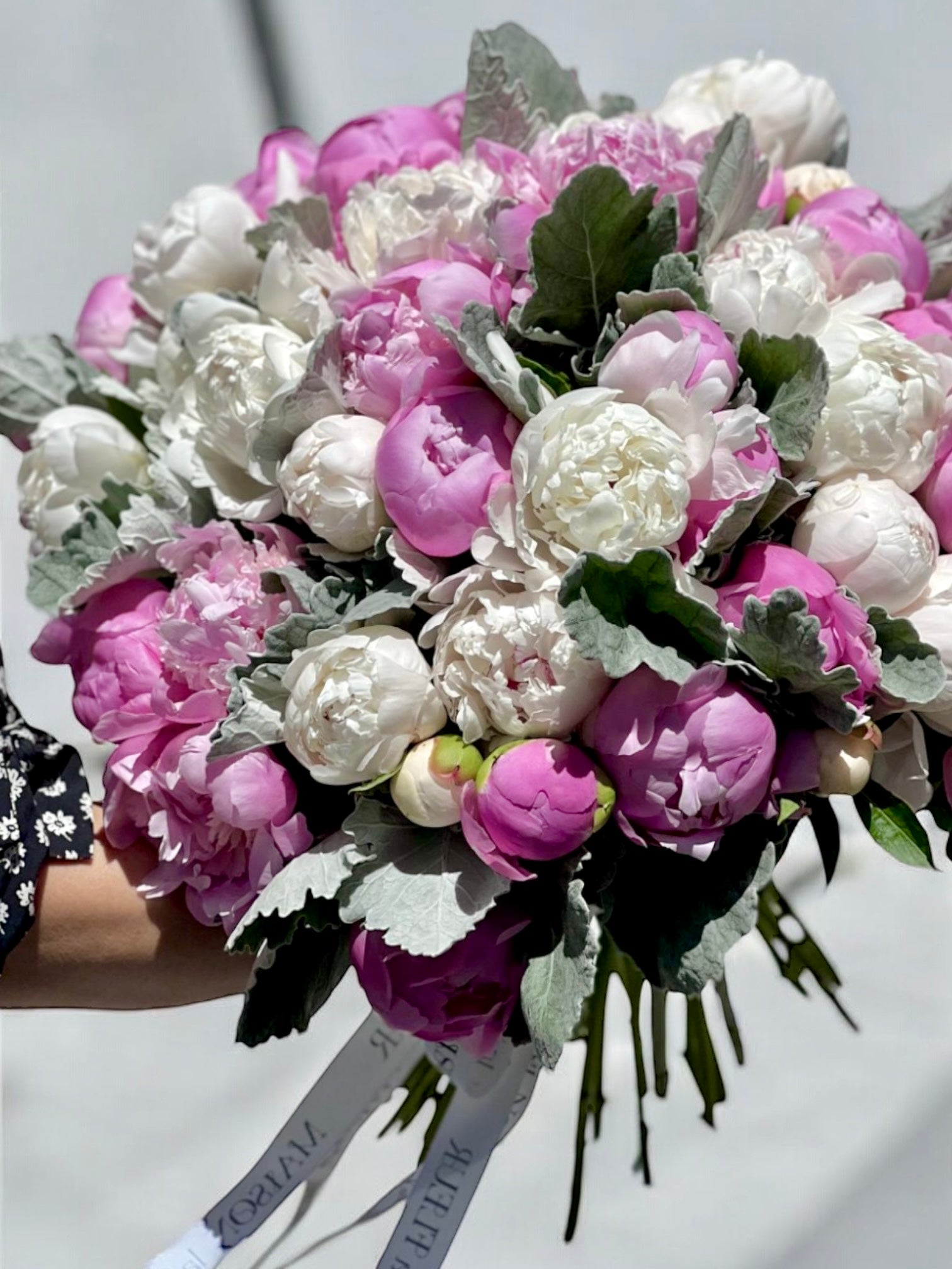 Obsession - 50 premium French peonies and dusty miller - Maison la Fleur