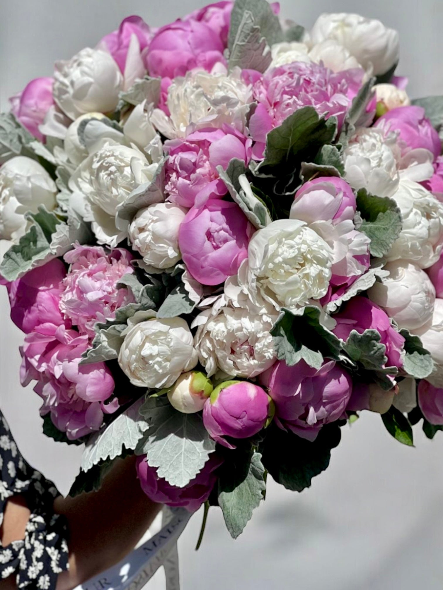 Obsession - 50 premium French peonies and dusty miller - Maison la Fleur