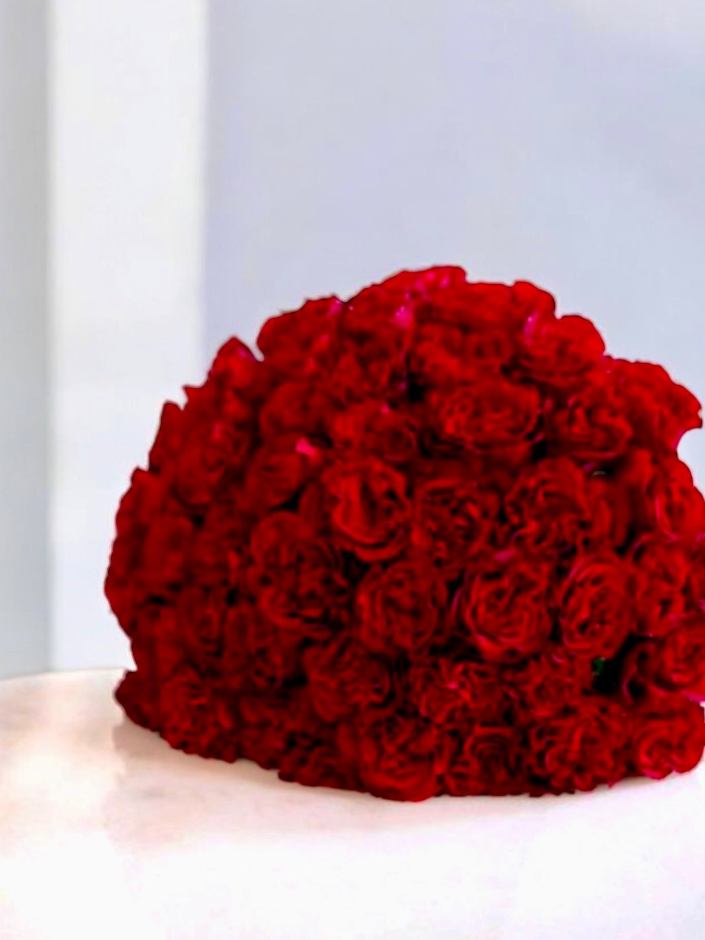 Only You - 50 premium Garden Long Stem red roses - Maison la Fleur