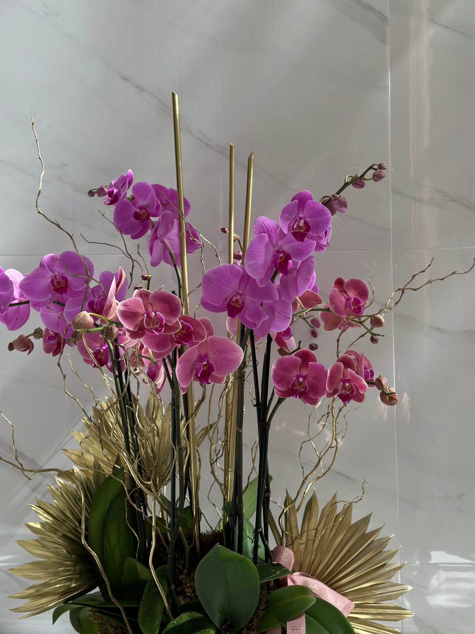 Orchid Elegance - Maison la Fleur