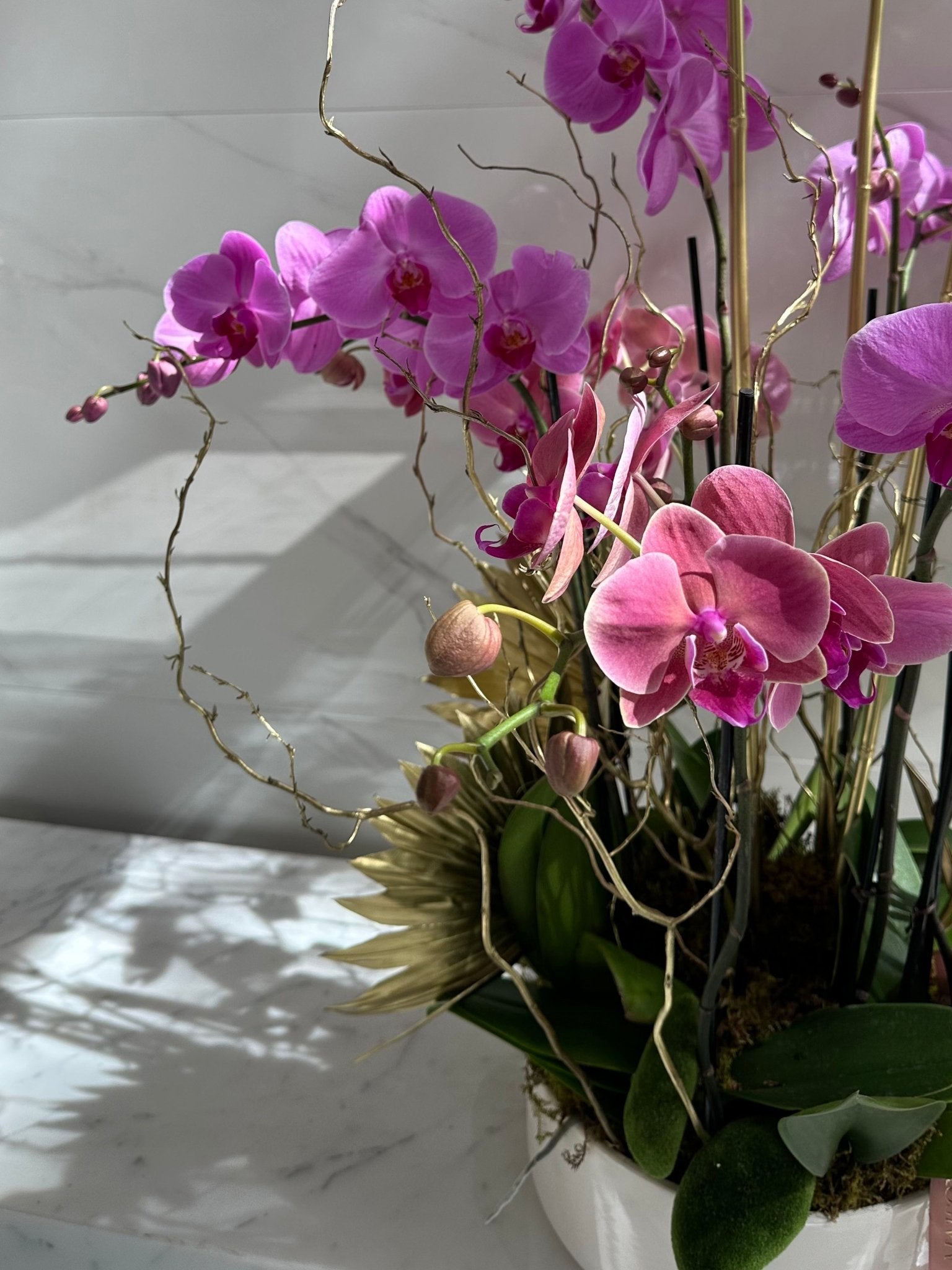 Orchid Elegance - Maison la Fleur