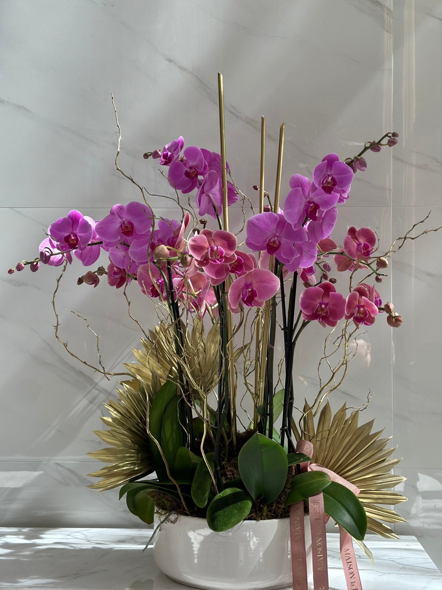 Orchid Elegance - Maison la Fleur