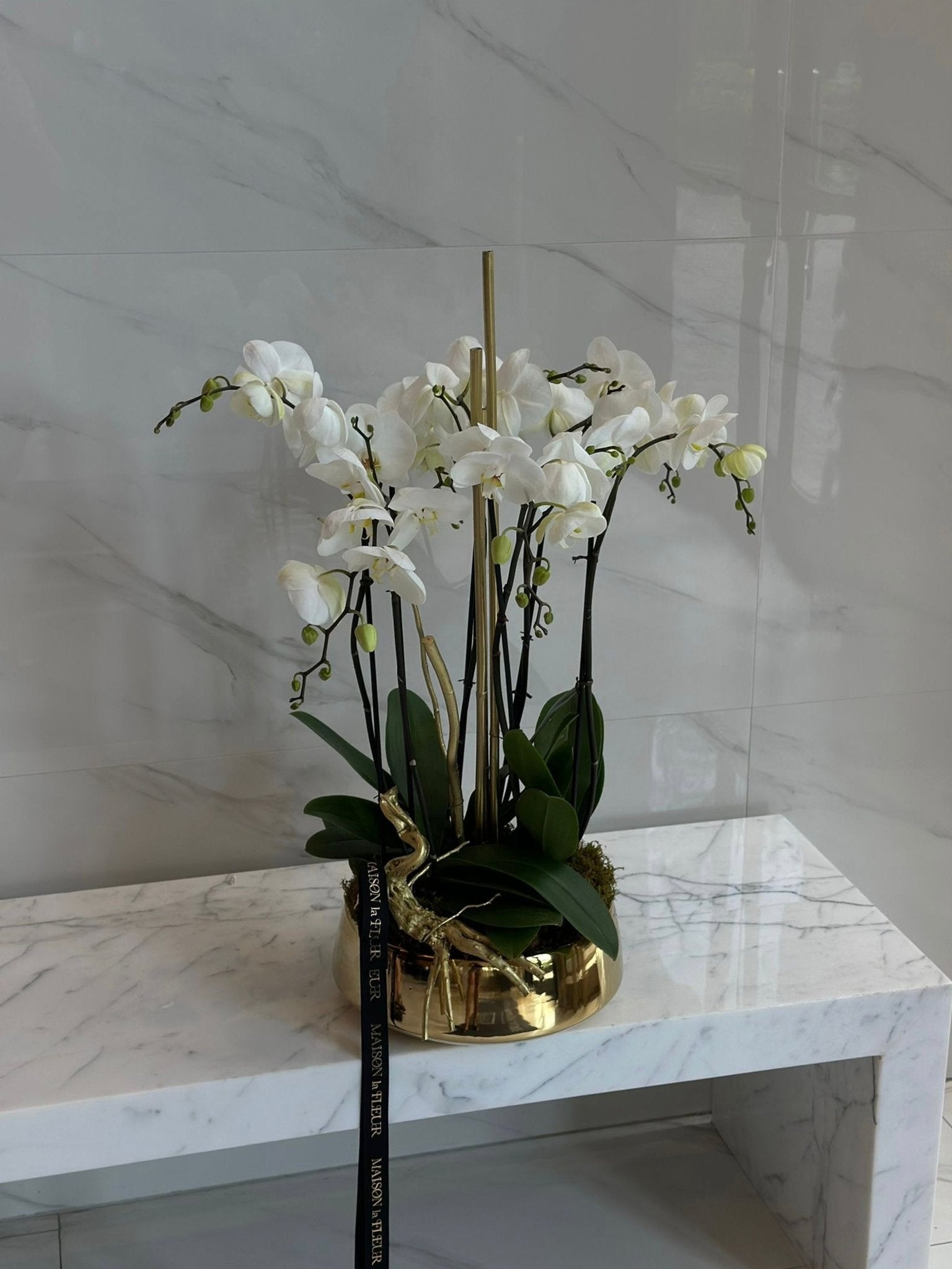 Orchid Harmony - Maison la Fleur