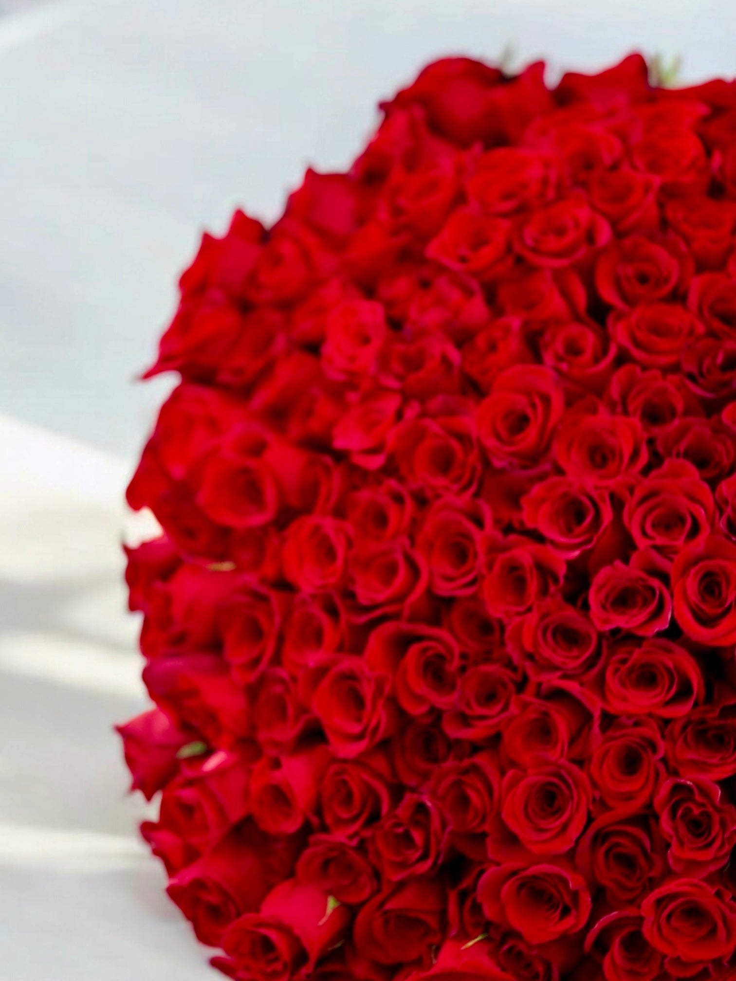 Passionate Affair - 200 beautiful red premium roses - Maison la Fleur