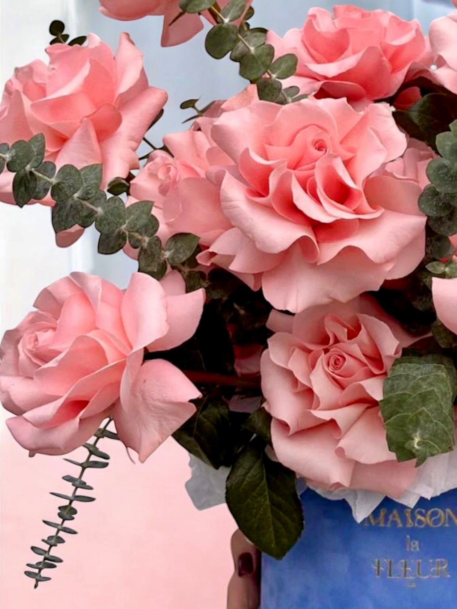 Pink Attraction - Premium 25 long stem roses hand opened with eucalyptus - Maison la Fleur