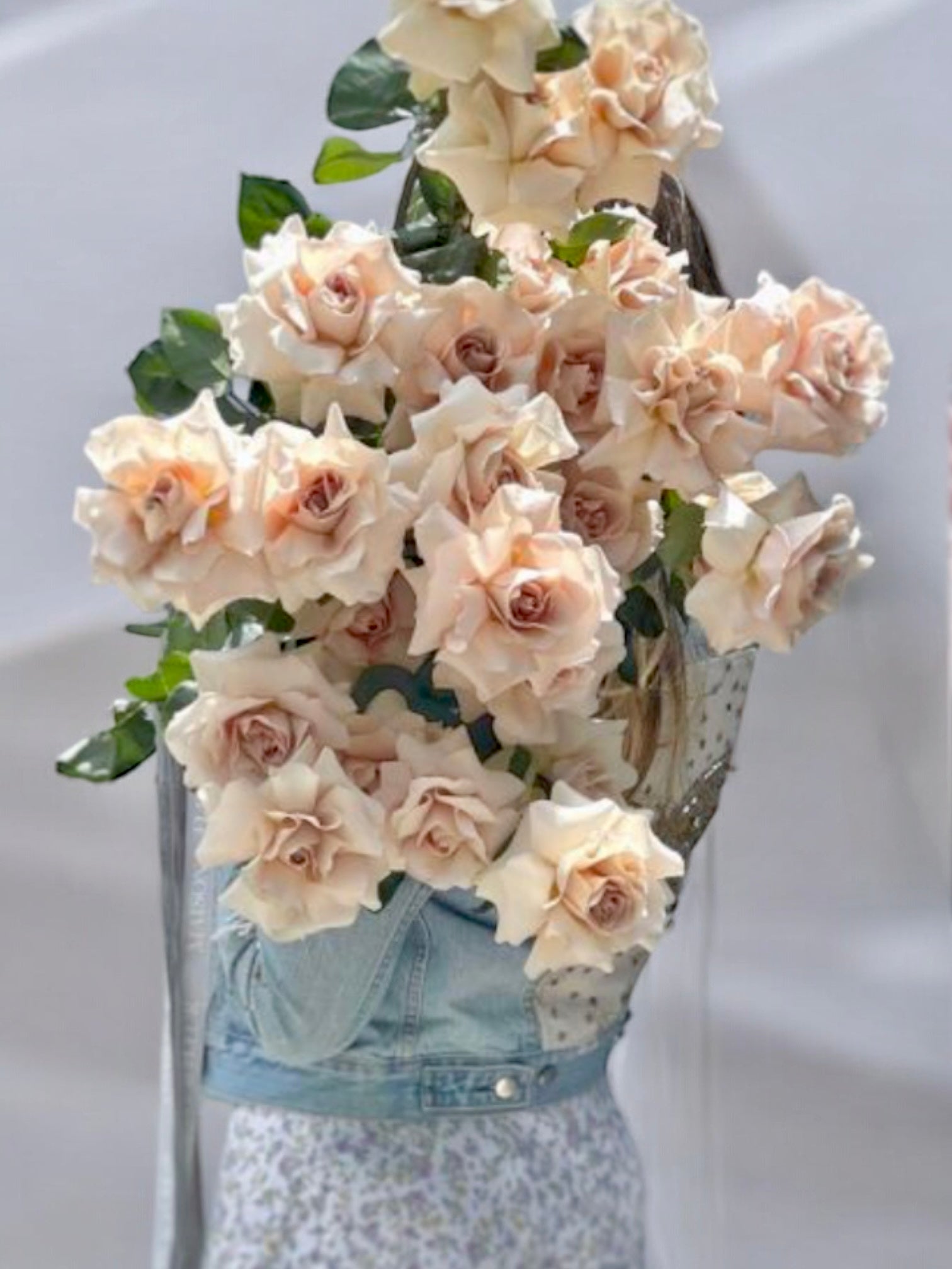 Quick for Love - 25 premium long stem roses - Maison la Fleur