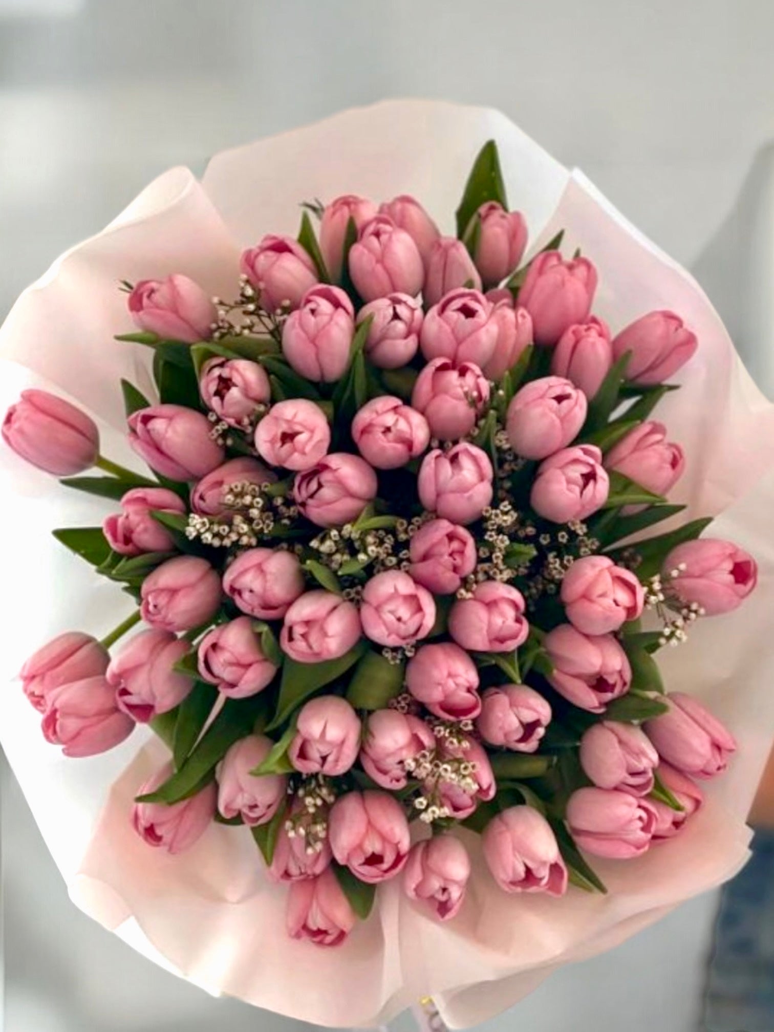 Sweet Tulip - Beautiful 50 premium Dutch tulips - Maison la Fleur