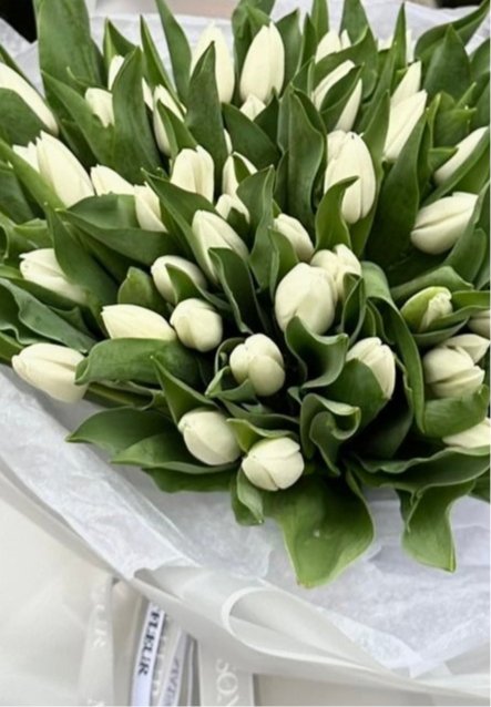 The Perfect Tulip - 50 Beautiful Dutch frilled tulips - Maison la Fleur