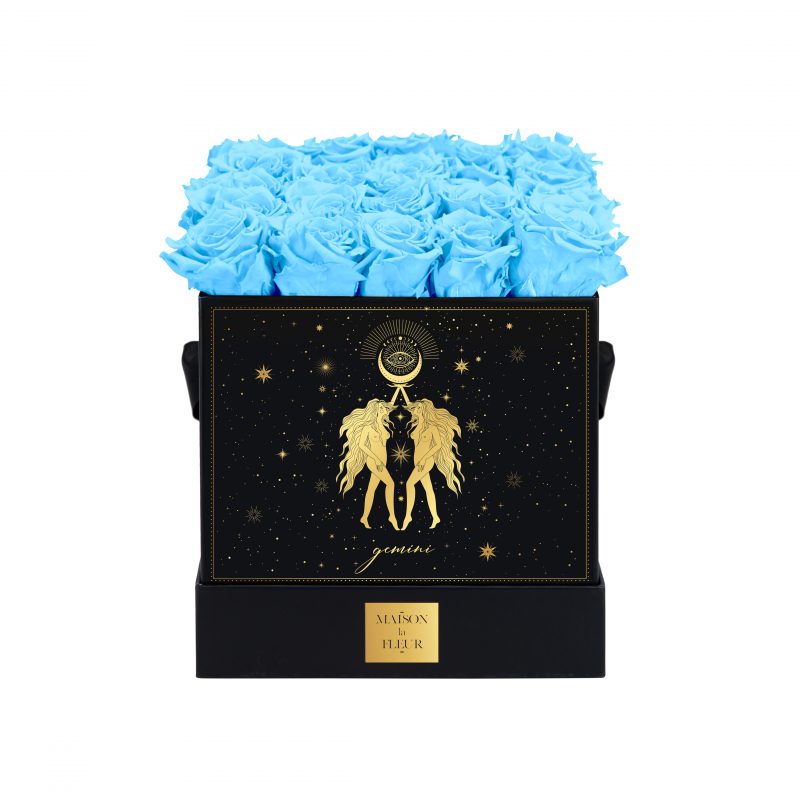 Zodiac Signs Collection - Gemini - Maison la Fleur