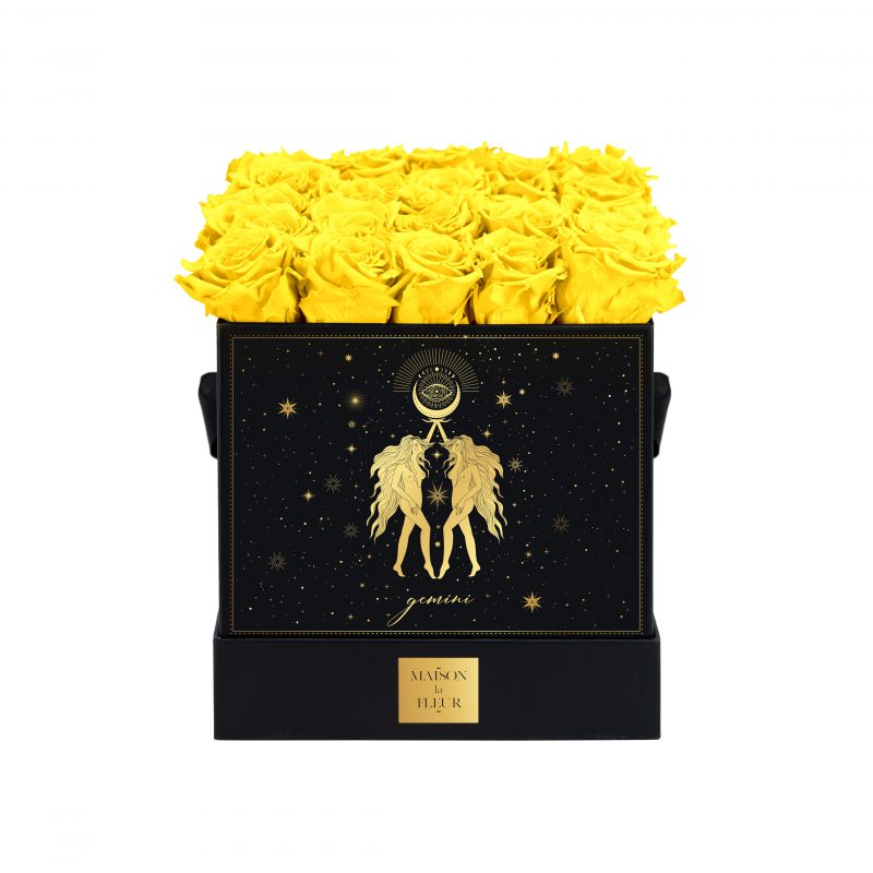 Zodiac Signs Collection - Gemini - Maison la Fleur