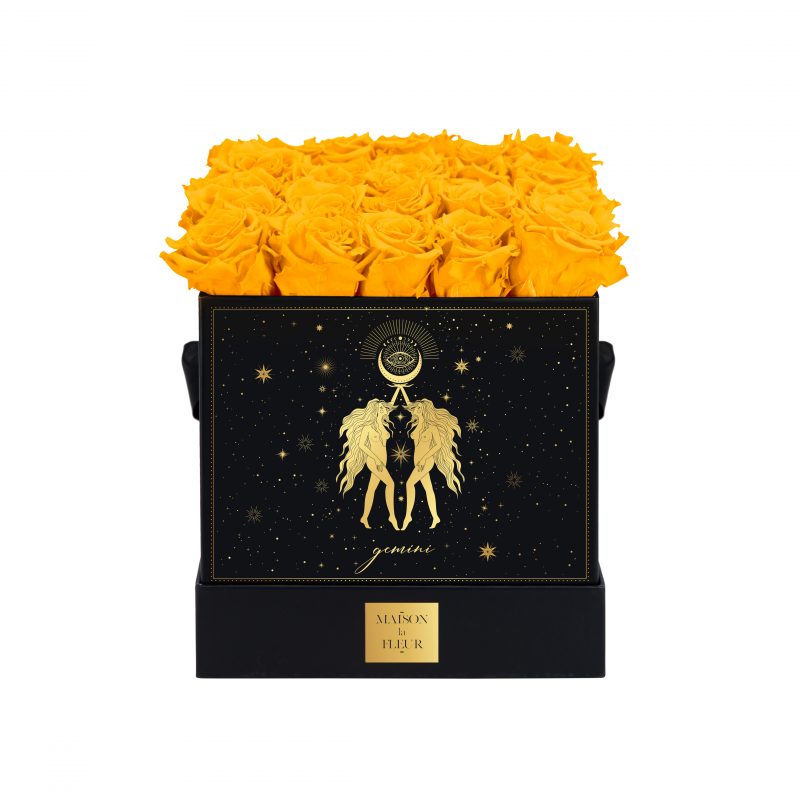 Zodiac Signs Collection - Gemini - Maison la Fleur