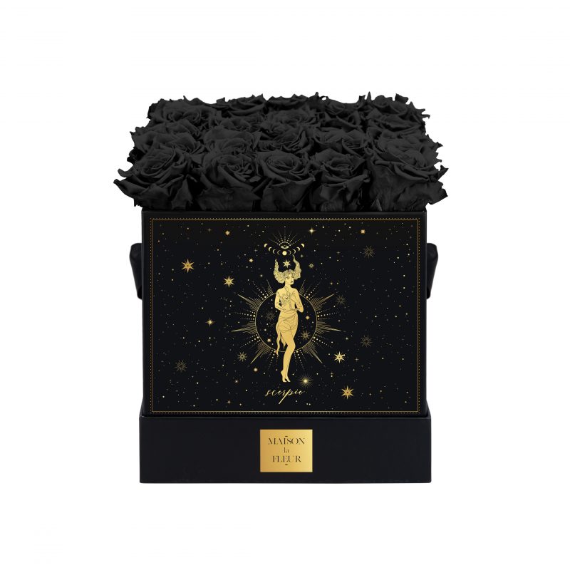 Zodiac Signs Collection - Scorpio - Maison la Fleur