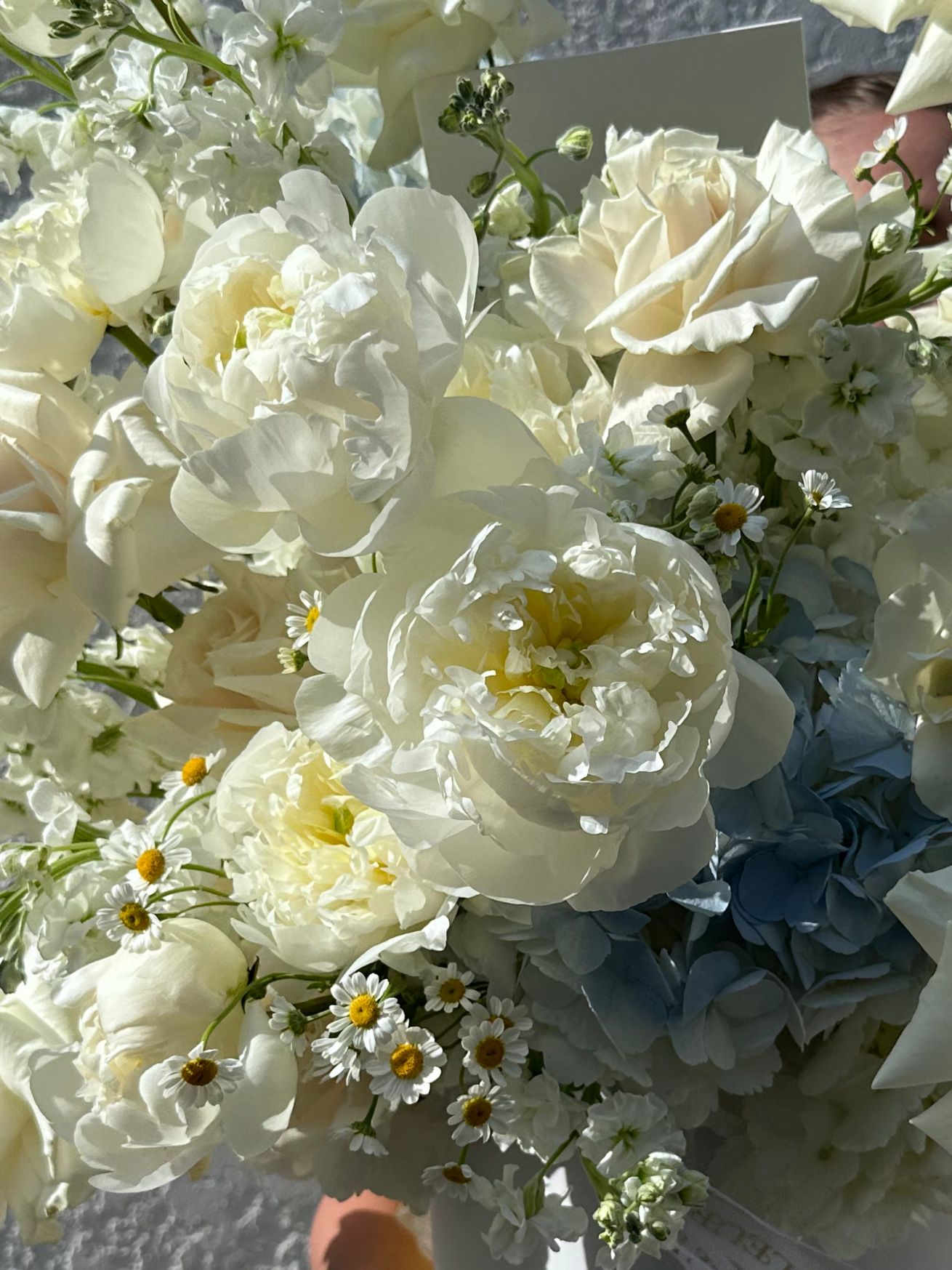 Peonies and Hydrangea Bouquet , Absolutely yes - peonies, Dutch hydrangea , long stem roses, chamomile, and stock flower - Maison la Fleur