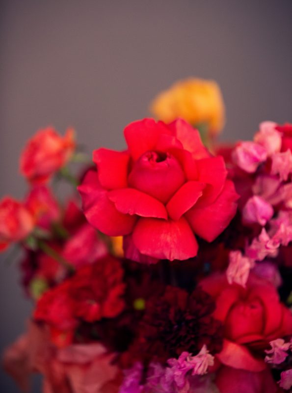 Coral Garden Roses, Autumn - A mix of Yellow, White and Coral Garden roses - Maison la Fleur
