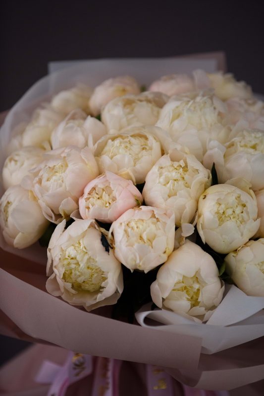 Premium Blush Peonies, Blush Beauties - 30 white premium blush peonies - Maison la Fleur